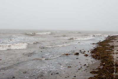 20110803 Vacance 2011 - Sainte Flavie pict0263.jpg