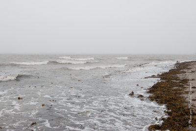 20110803 Vacance 2011 - Sainte Flavie pict0264.jpg