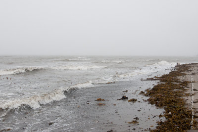 20110803 Vacance 2011 - Sainte Flavie pict0265.jpg