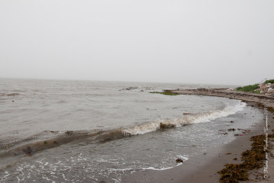 20110803 Vacance 2011 - Sainte Flavie pict0268.jpg