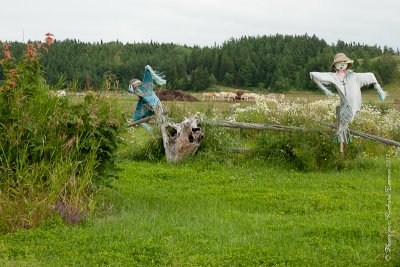 20110804 Vacance 2011 - Sainte Flavie pict0292.jpg