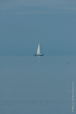 20110805 Vacance 2011 - Sainte Flavie pict0312.jpg