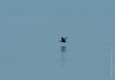 20110805 Vacance 2011 - Sainte Flavie pict0318.jpg