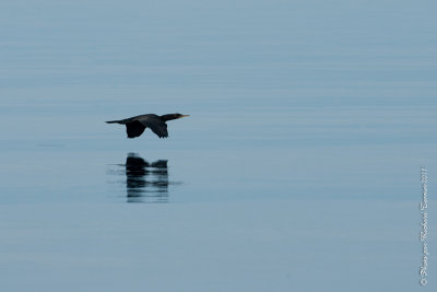 20110805 Vacance 2011 - Sainte Flavie pict0325.jpg