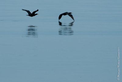 20110805 Vacance 2011 - Sainte Flavie pict0328.jpg