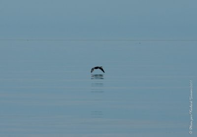 20110805 Vacance 2011 - Sainte Flavie pict0329.jpg