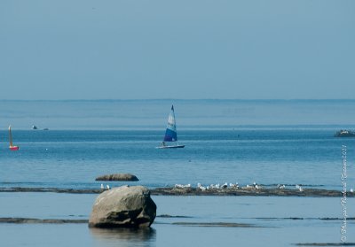 20110806 Vacance 2011 - Sainte Flavie pict0354.jpg