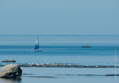 20110806 Vacance 2011 - Sainte Flavie pict0355.jpg