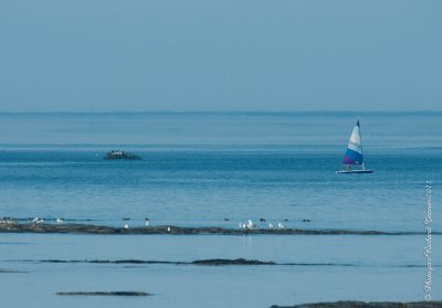 20110806 Vacance 2011 - Sainte Flavie pict0356.jpg