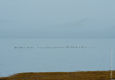 20110806 Vacance 2011 - Sainte Flavie pict0361.jpg