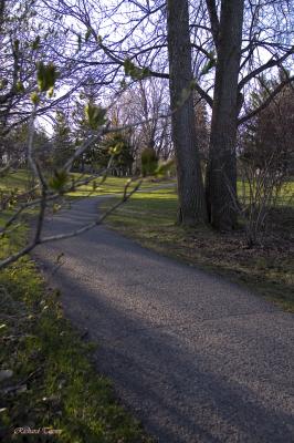 Parc du Mont Royal 2111.jpg