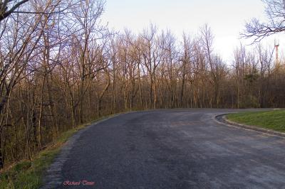 Parc du Mont-Royal 2070.jpg