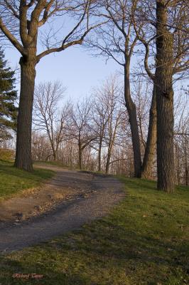 Parc du Mont-Royal 2072.jpg