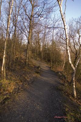 Parc du Mont-Royal 2076.jpg