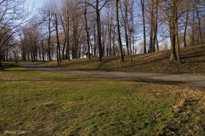 Parc du Mont-Royal 2100.jpg