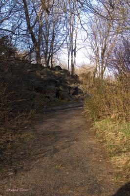 g4/46/651846/3/59621998.ParcduMontRoyal2102.jpg