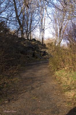 Parc du Mont-Royal 2102.jpg