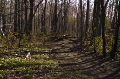 Parc Summit 2114.jpg