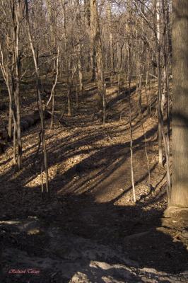 Parc Summit 2123.jpg