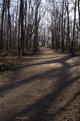 Parc Summit 2124.jpg