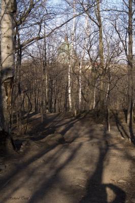 Parc Summit 2125.jpg