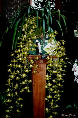 Ochidexpo 04.05.0046.jpg