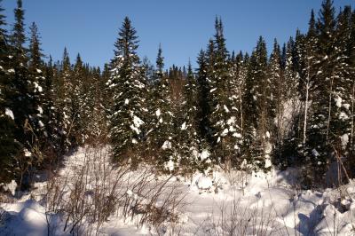 g4/46/651846/3/60759944.PICT1556.jpg
