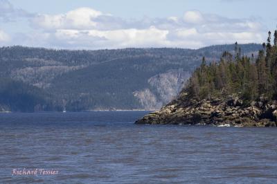 g4/46/651846/3/61520743.EmbouchurepetitSaguenayPICT2223.jpg