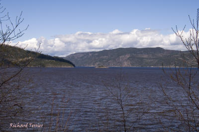 g4/46/651846/3/61520750.LAnsestJeanPICT2210.jpg