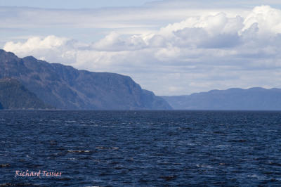 g4/46/651846/3/61521640.LefjordduSaguenayPICT2225.jpg