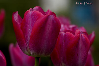 g4/46/651846/3/61589934.0noc9hQS.jpg