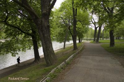 Parc Lafontaine PICT2447.jpg