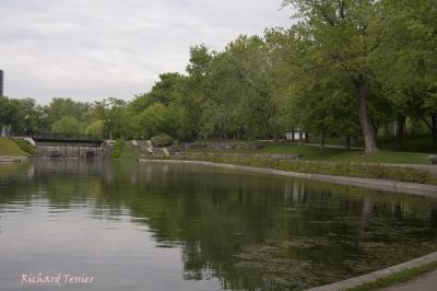 Parc Lafontaine PICT2465.jpg