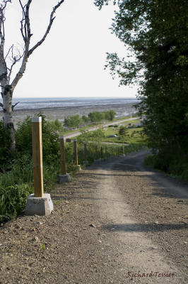 Paysage - Isle-aux-coudres