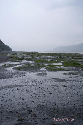 Paysage - Isle-aux-coudres