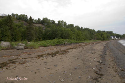 Paysage - Isle-aux-coudres