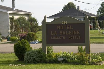 Le motel - Iles-aux-Coudres