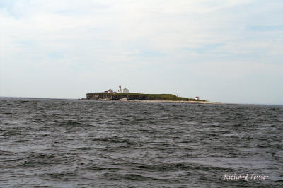 Visite dansL'Archipel de Migan, Ile du Phare 0208.jpg