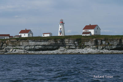 L'Archipel de Migan, Ile du Phare 0256.jpg