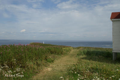 L'Archipel de Migan, Ile du Phare 0259.jpg