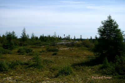 Le St Laurent 0295.jpg