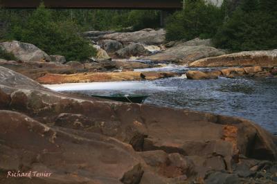 Moyenne Cte-Nord 0303.jpg
