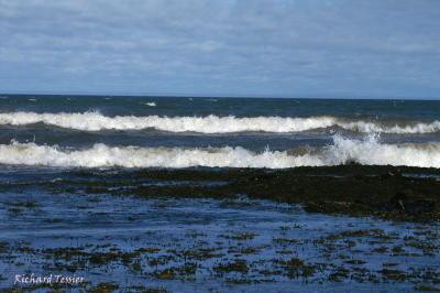 g4/46/651846/3/62706256.K38sMAwE.jpg