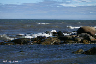 Point au pre (Rimouski) 0521.jpg