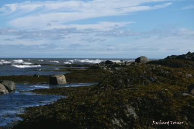 Point au pre (Rimouski) 0535.jpg