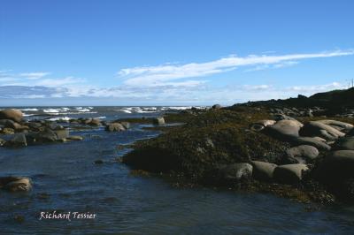 Point au pre (Rimouski) 0536.jpg