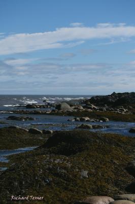 Point au pre (Rimouski)0552.jpg