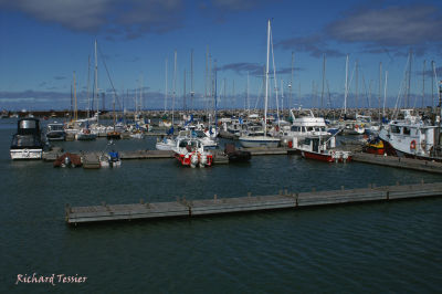 Marina de Rimouski 0574.jpg