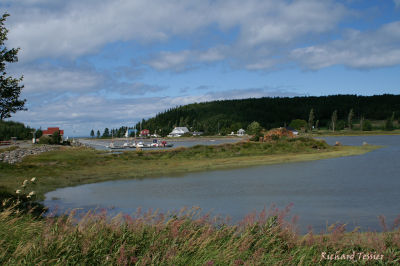 g4/46/651846/3/63047792.cWaRH33A.jpg