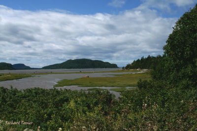 g4/46/651846/3/63047800.36ve4DVx.jpg
